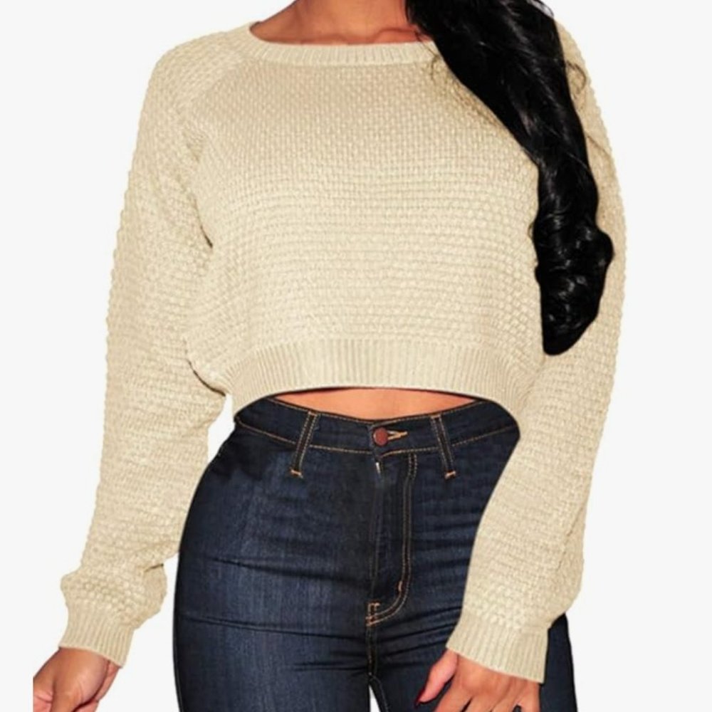 NWOT Cropped Sweater